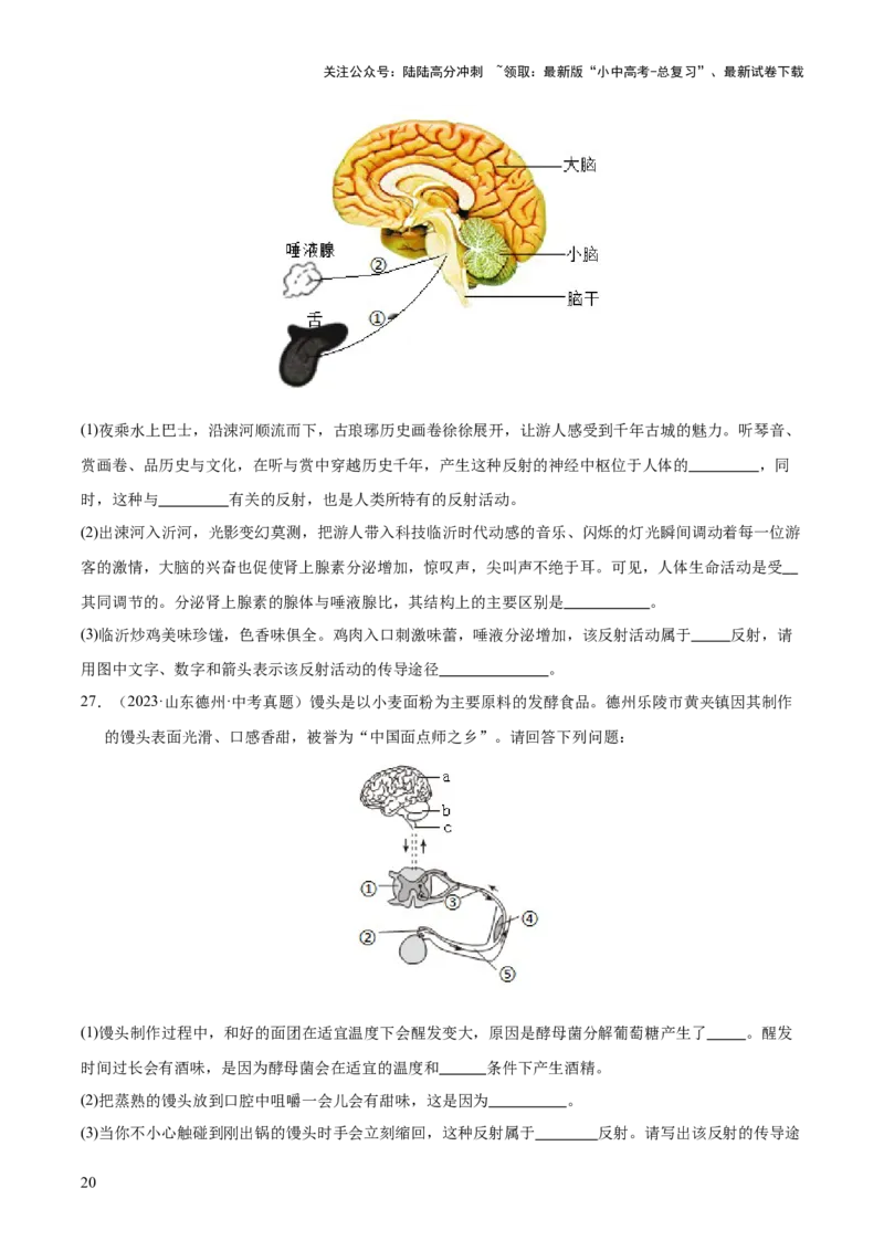 专题07人体生命活动的调节（全国通用）（原卷版）_02中考总复习（2026版更新中）_08-生物-中考总复习_2026年中考复习（更新中）