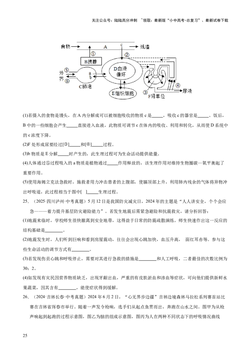 专题07人体生命活动的调节（全国通用）（原卷版）_02中考总复习（2026版更新中）_08-生物-中考总复习_2026年中考复习（更新中）