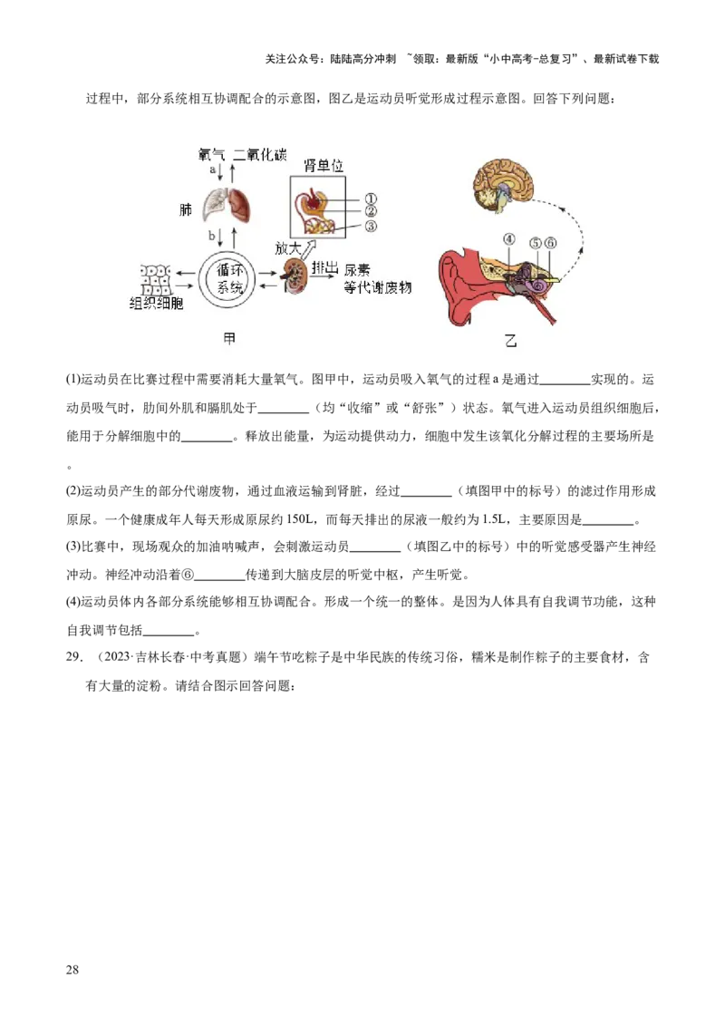 专题07人体生命活动的调节（全国通用）（原卷版）_02中考总复习（2026版更新中）_08-生物-中考总复习_2026年中考复习（更新中）