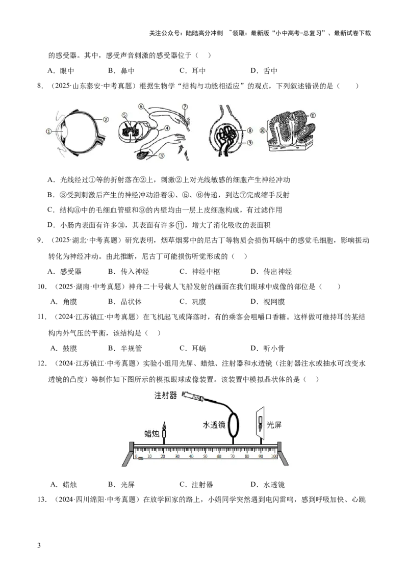 专题07人体生命活动的调节（全国通用）（原卷版）_02中考总复习（2026版更新中）_08-生物-中考总复习_2026年中考复习（更新中）