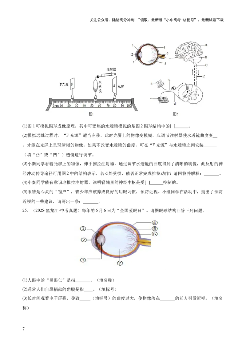 专题07人体生命活动的调节（全国通用）（原卷版）_02中考总复习（2026版更新中）_08-生物-中考总复习_2026年中考复习（更新中）