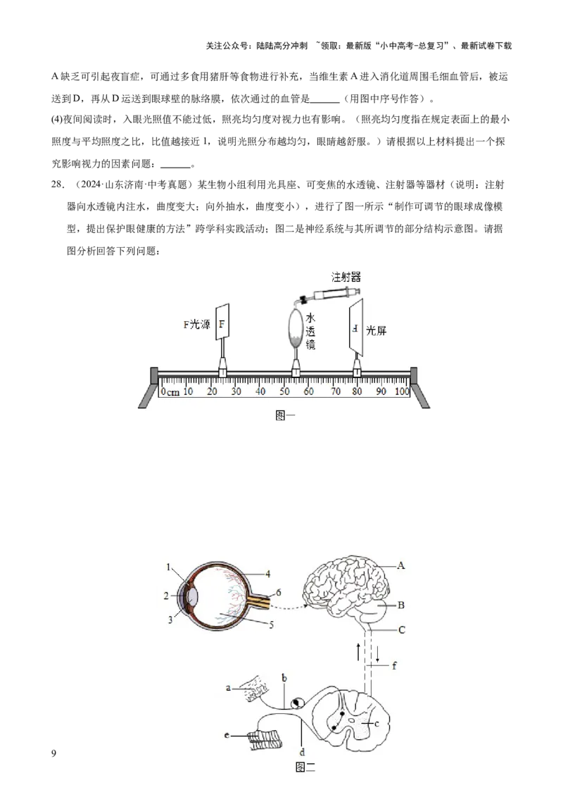 专题07人体生命活动的调节（全国通用）（原卷版）_02中考总复习（2026版更新中）_08-生物-中考总复习_2026年中考复习（更新中）