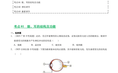 专题07人体生命活动的调节（全国通用）（原卷版）_02中考总复习（2026版更新中）_08-生物-中考总复习_2026年中考复习（更新中）