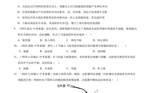 专题07人体生命活动的调节（全国通用）（原卷版）_02中考总复习（2026版更新中）_08-生物-中考总复习_2026年中考复习（更新中）