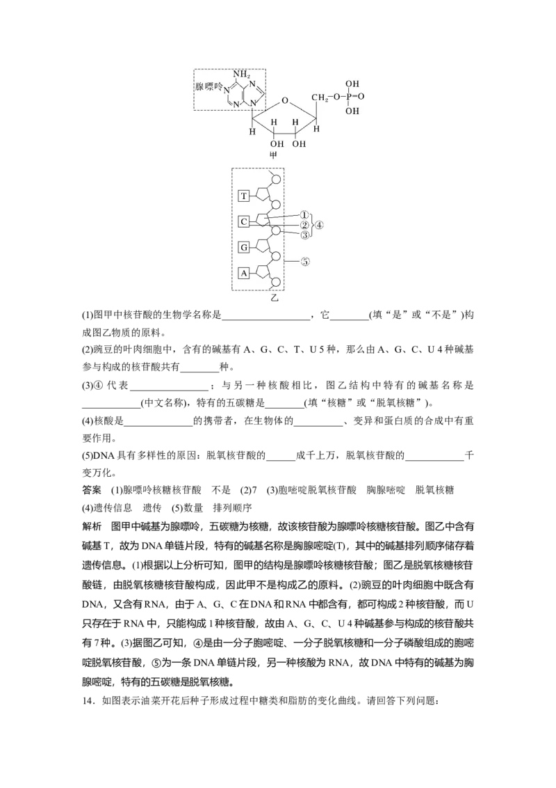 2024年高考生物一轮复习（新人教版）第1单元　第4课时　核酸是遗传信息的携带者、有机物的鉴定_09高考生物_2024年新高考资料_1.2024一轮复习_2024年高考生物一轮复习讲义（新人教版）