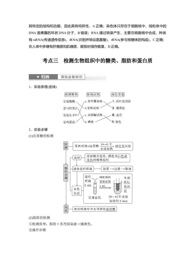 2024年高考生物一轮复习（新人教版）第1单元　第4课时　核酸是遗传信息的携带者、有机物的鉴定_09高考生物_2024年新高考资料_1.2024一轮复习_2024年高考生物一轮复习讲义（新人教版）