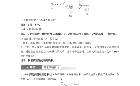 2024年高考生物一轮复习（新人教版）第1单元　第4课时　核酸是遗传信息的携带者、有机物的鉴定_09高考生物_2024年新高考资料_1.2024一轮复习_2024年高考生物一轮复习讲义（新人教版）
