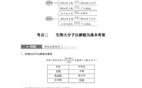 2024年高考生物一轮复习（新人教版）第1单元　第4课时　核酸是遗传信息的携带者、有机物的鉴定_09高考生物_2024年新高考资料_1.2024一轮复习_2024年高考生物一轮复习讲义（新人教版）