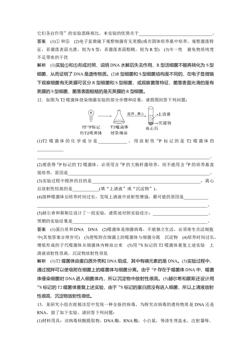 2024年高考生物一轮复习（新人教版）第6单元　第1课时　DNA是主要的遗传物质_09高考生物_2024年新高考资料_1.2024一轮复习_2024年高考生物一轮复习讲义（新人教版）