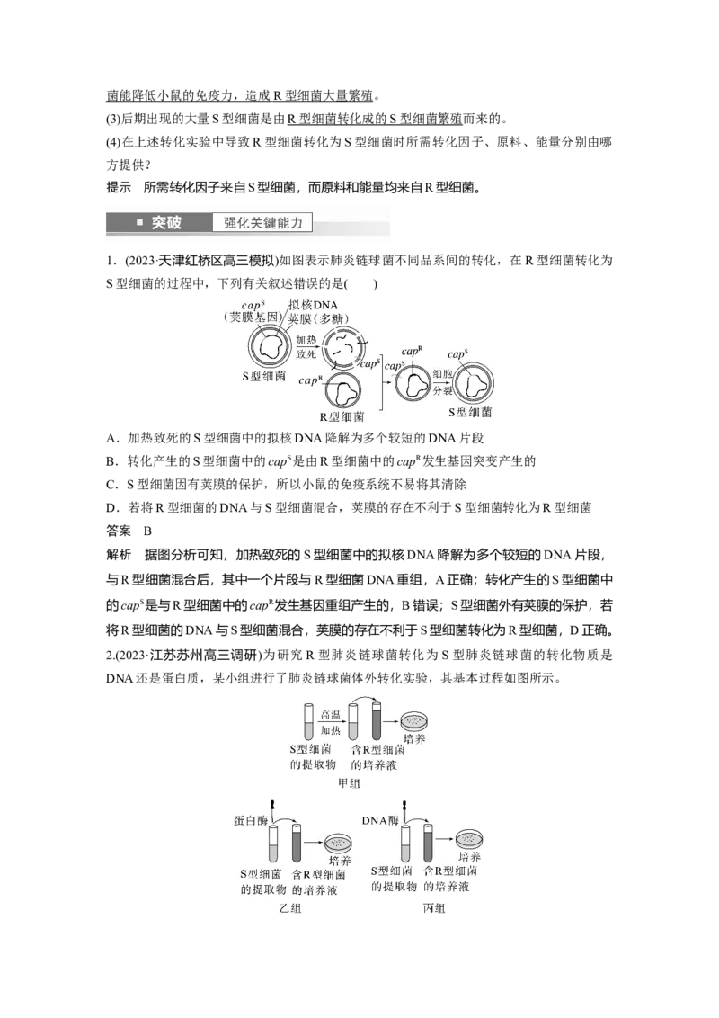 2024年高考生物一轮复习（新人教版）第6单元　第1课时　DNA是主要的遗传物质_09高考生物_2024年新高考资料_1.2024一轮复习_2024年高考生物一轮复习讲义（新人教版）