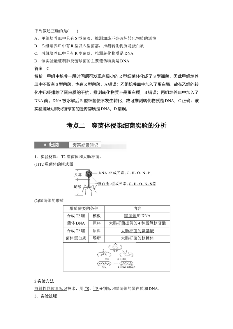 2024年高考生物一轮复习（新人教版）第6单元　第1课时　DNA是主要的遗传物质_09高考生物_2024年新高考资料_1.2024一轮复习_2024年高考生物一轮复习讲义（新人教版）