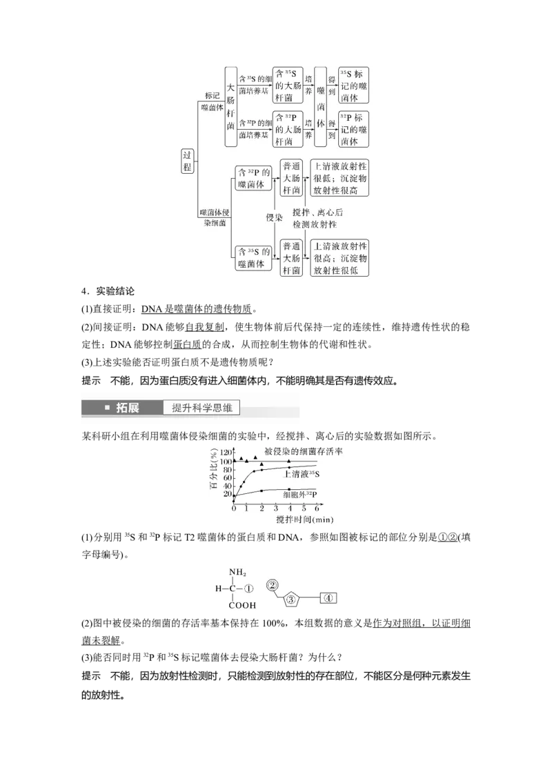 2024年高考生物一轮复习（新人教版）第6单元　第1课时　DNA是主要的遗传物质_09高考生物_2024年新高考资料_1.2024一轮复习_2024年高考生物一轮复习讲义（新人教版）