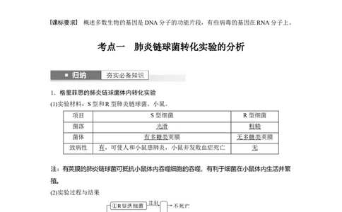 2024年高考生物一轮复习（新人教版）第6单元　第1课时　DNA是主要的遗传物质_09高考生物_2024年新高考资料_1.2024一轮复习_2024年高考生物一轮复习讲义（新人教版）
