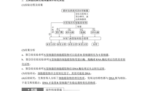 2024年高考生物一轮复习（新人教版）第6单元　第1课时　DNA是主要的遗传物质_09高考生物_2024年新高考资料_1.2024一轮复习_2024年高考生物一轮复习讲义（新人教版）
