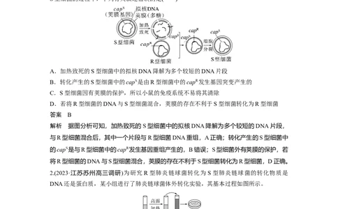 2024年高考生物一轮复习（新人教版）第6单元　第1课时　DNA是主要的遗传物质_09高考生物_2024年新高考资料_1.2024一轮复习_2024年高考生物一轮复习讲义（新人教版）
