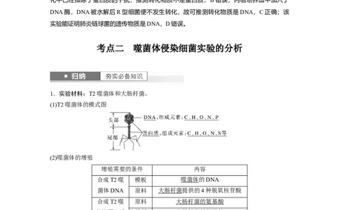 2024年高考生物一轮复习（新人教版）第6单元　第1课时　DNA是主要的遗传物质_09高考生物_2024年新高考资料_1.2024一轮复习_2024年高考生物一轮复习讲义（新人教版）