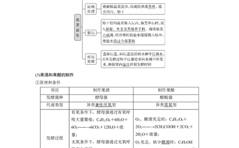 2024年高考生物一轮复习（新人教版）第10单元　第1课时　传统发酵技术的应用、发酵工程及其应用_09高考生物_2024年新高考资料_1.2024一轮复习_2024年高考生物一轮复习讲义（新人教版）