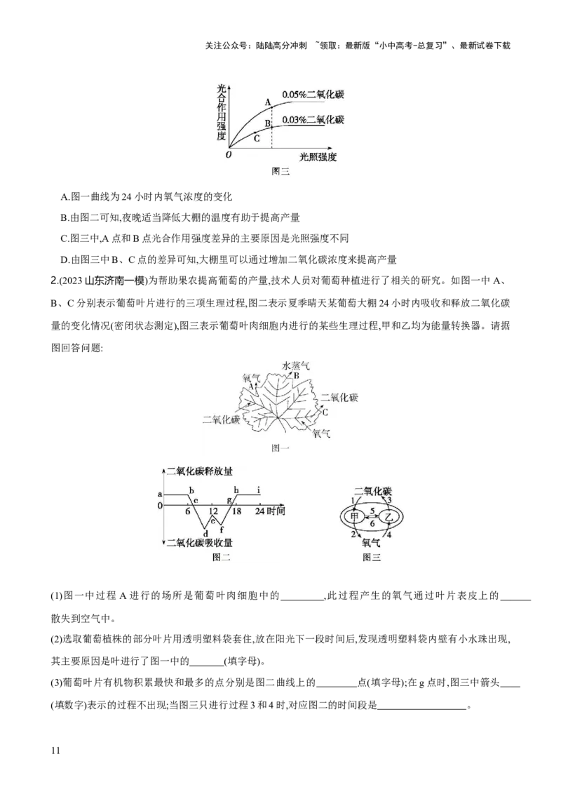 专题07绿色植物的光合作用（练习）（原卷版）_02中考总复习（2026版更新中）_08-生物-中考总复习_2024年中考复习资料_一轮复习_❤2024年中考生物一轮复习讲练测（全国通用）_练习