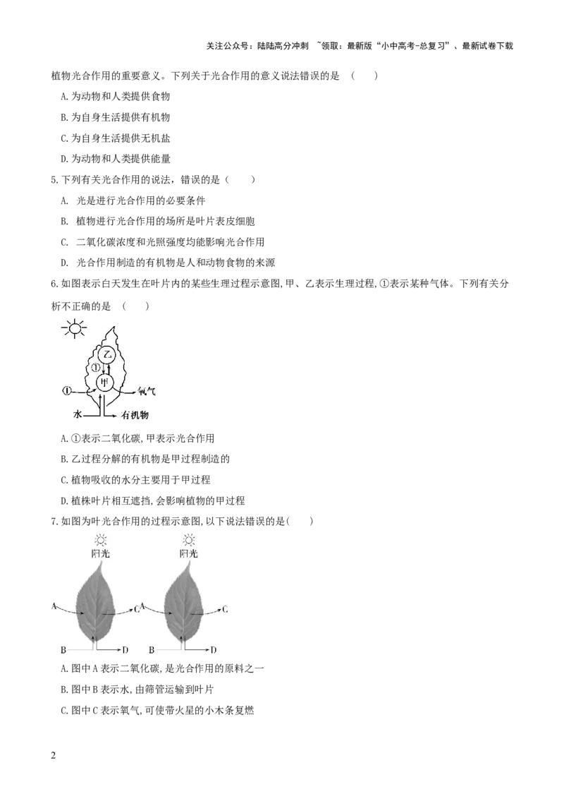 专题07绿色植物的光合作用（练习）（原卷版）_02中考总复习（2026版更新中）_08-生物-中考总复习_2024年中考复习资料_一轮复习_❤2024年中考生物一轮复习讲练测（全国通用）_练习