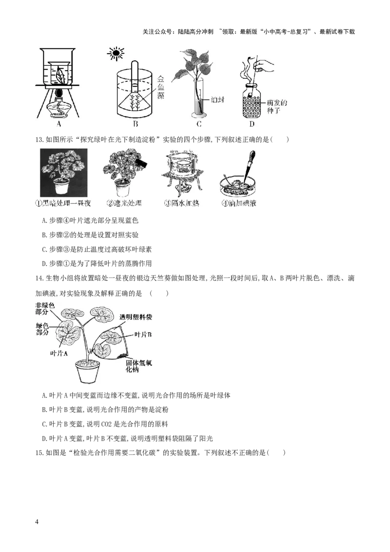 专题07绿色植物的光合作用（练习）（原卷版）_02中考总复习（2026版更新中）_08-生物-中考总复习_2024年中考复习资料_一轮复习_❤2024年中考生物一轮复习讲练测（全国通用）_练习