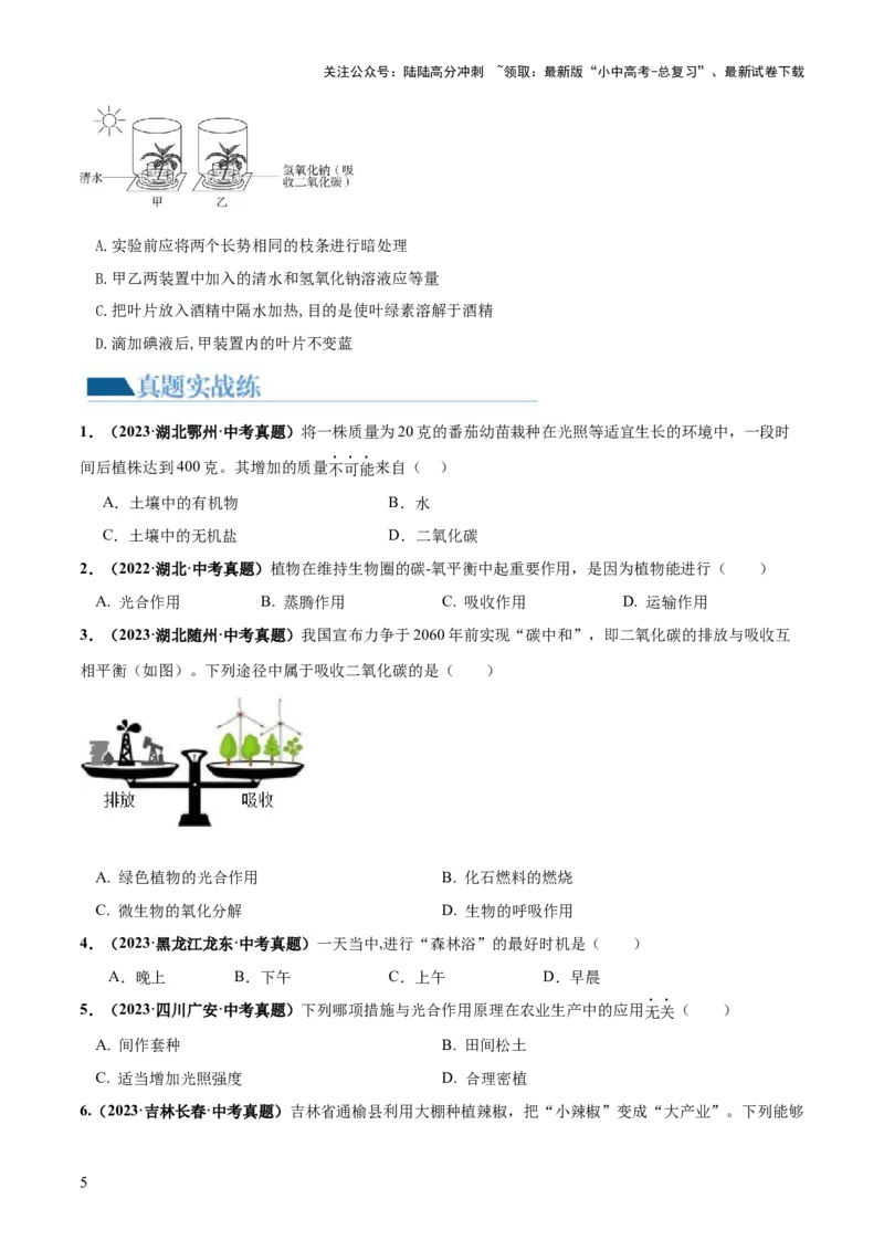 专题07绿色植物的光合作用（练习）（原卷版）_02中考总复习（2026版更新中）_08-生物-中考总复习_2024年中考复习资料_一轮复习_❤2024年中考生物一轮复习讲练测（全国通用）_练习