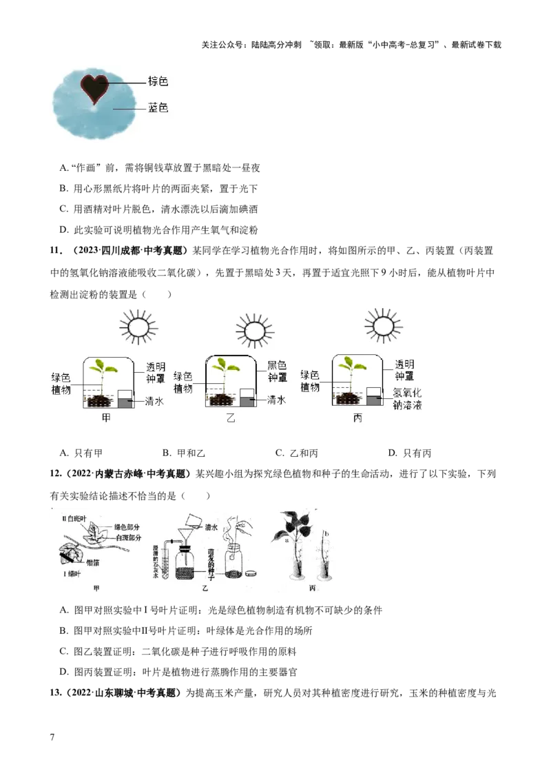 专题07绿色植物的光合作用（练习）（原卷版）_02中考总复习（2026版更新中）_08-生物-中考总复习_2024年中考复习资料_一轮复习_❤2024年中考生物一轮复习讲练测（全国通用）_练习