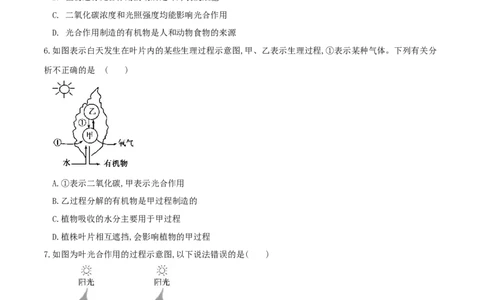 专题07绿色植物的光合作用（练习）（原卷版）_02中考总复习（2026版更新中）_08-生物-中考总复习_2024年中考复习资料_一轮复习_❤2024年中考生物一轮复习讲练测（全国通用）_练习