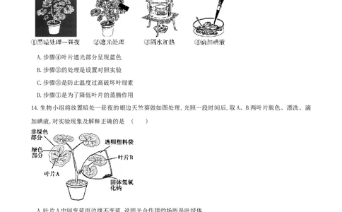 专题07绿色植物的光合作用（练习）（原卷版）_02中考总复习（2026版更新中）_08-生物-中考总复习_2024年中考复习资料_一轮复习_❤2024年中考生物一轮复习讲练测（全国通用）_练习