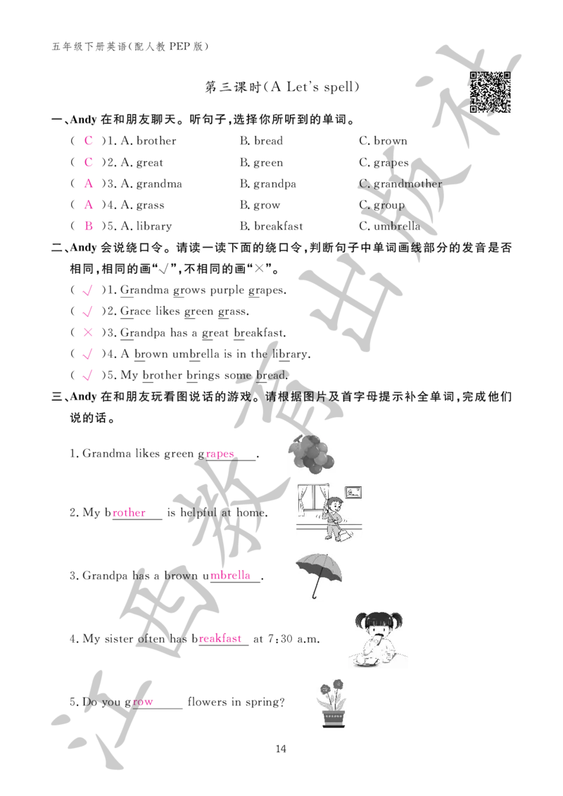 （参考答案）英语作业本（配人教PEP版）五年级下册_26春四年级上下册人教版_四上英语合集人教版PEP英语四年级上册新教材（教学视频+课件+动画+音频+练习+教案）_17练习资料