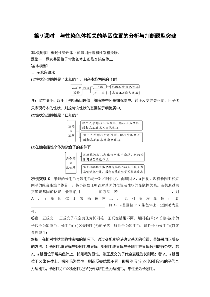 2024年高考生物一轮复习（新人教版）第5单元　第9课时　与性染色体相关的基因位置的分析与判断题型突破_09高考生物_2024年新高考资料_1.2024一轮复习