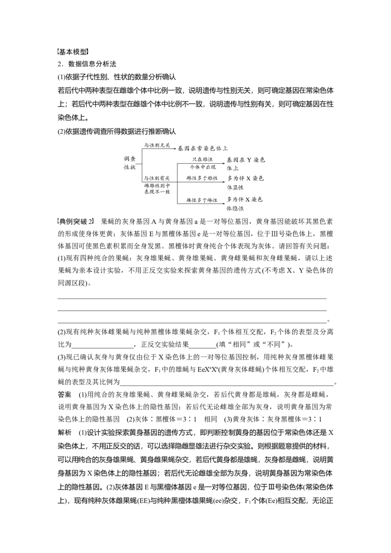 2024年高考生物一轮复习（新人教版）第5单元　第9课时　与性染色体相关的基因位置的分析与判断题型突破_09高考生物_2024年新高考资料_1.2024一轮复习