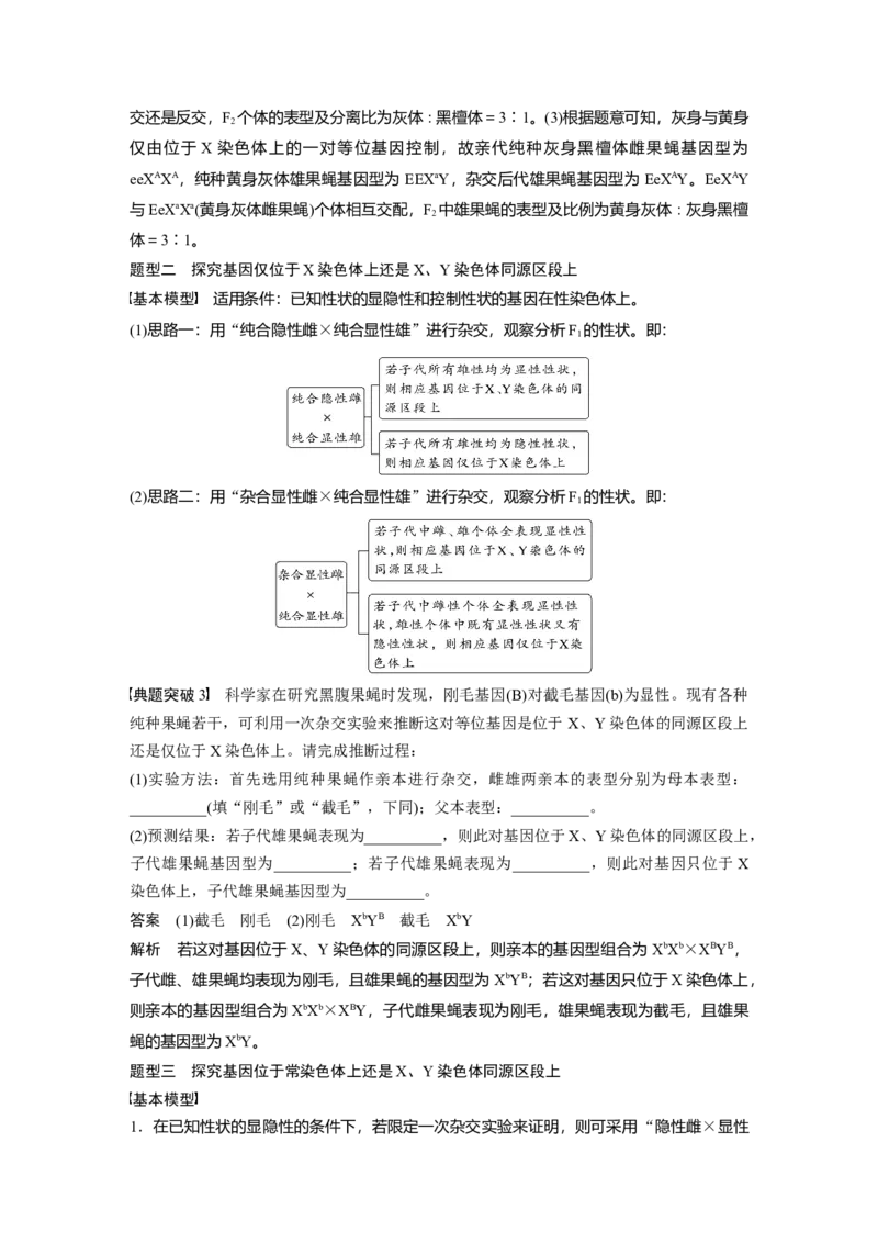 2024年高考生物一轮复习（新人教版）第5单元　第9课时　与性染色体相关的基因位置的分析与判断题型突破_09高考生物_2024年新高考资料_1.2024一轮复习