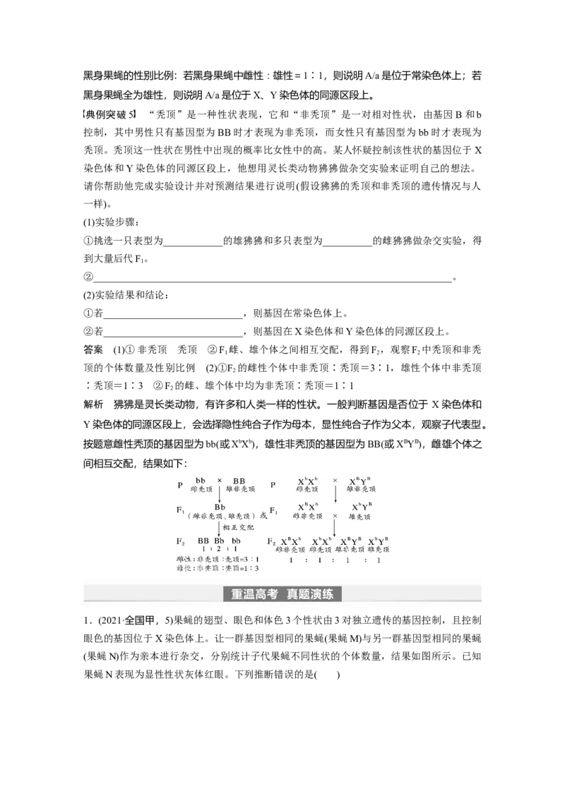 2024年高考生物一轮复习（新人教版）第5单元　第9课时　与性染色体相关的基因位置的分析与判断题型突破_09高考生物_2024年新高考资料_1.2024一轮复习