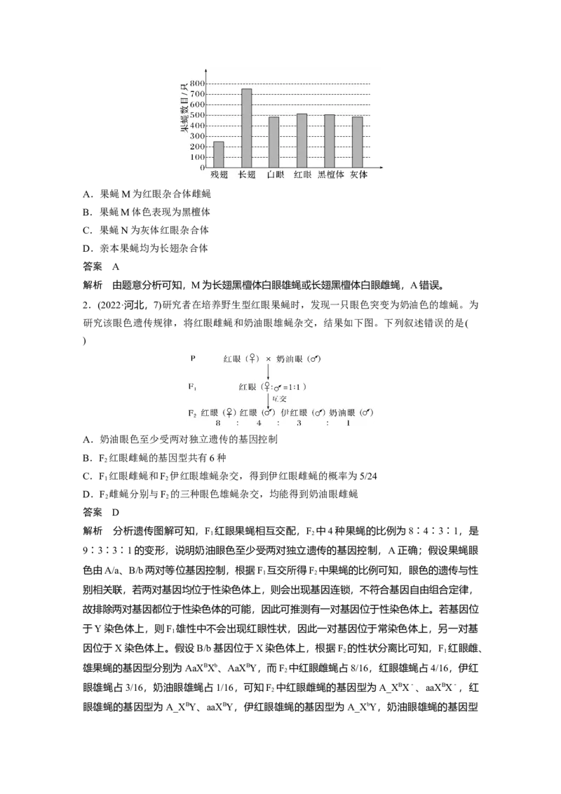 2024年高考生物一轮复习（新人教版）第5单元　第9课时　与性染色体相关的基因位置的分析与判断题型突破_09高考生物_2024年新高考资料_1.2024一轮复习