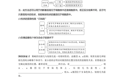2024年高考生物一轮复习（新人教版）第5单元　第9课时　与性染色体相关的基因位置的分析与判断题型突破_09高考生物_2024年新高考资料_1.2024一轮复习