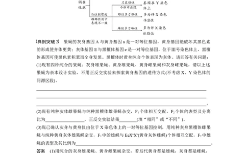 2024年高考生物一轮复习（新人教版）第5单元　第9课时　与性染色体相关的基因位置的分析与判断题型突破_09高考生物_2024年新高考资料_1.2024一轮复习