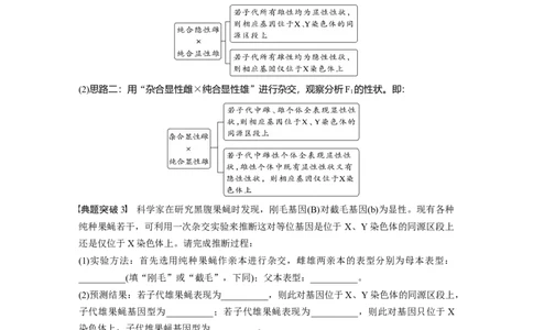2024年高考生物一轮复习（新人教版）第5单元　第9课时　与性染色体相关的基因位置的分析与判断题型突破_09高考生物_2024年新高考资料_1.2024一轮复习