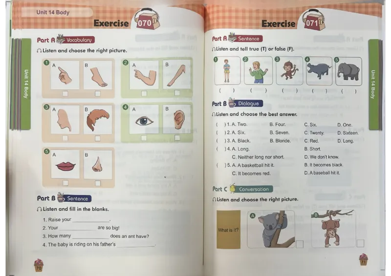 3英语~听霸-新_26春四年级上下册人教版_四上英语合集人教版PEP英语四年级上册新教材（教学视频+课件+动画+音频+练习+教案）_17练习资料_小学英语（预习复习资料大礼包）