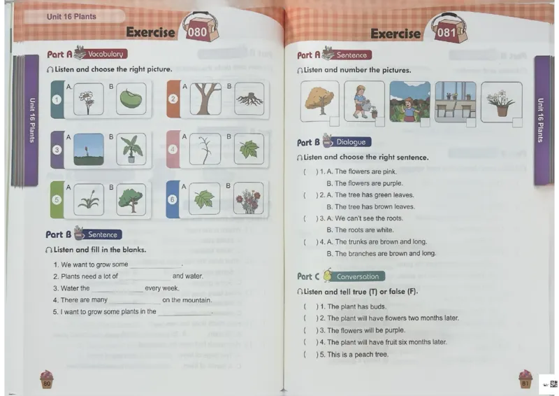 3英语~听霸-新_26春四年级上下册人教版_四上英语合集人教版PEP英语四年级上册新教材（教学视频+课件+动画+音频+练习+教案）_17练习资料_小学英语（预习复习资料大礼包）