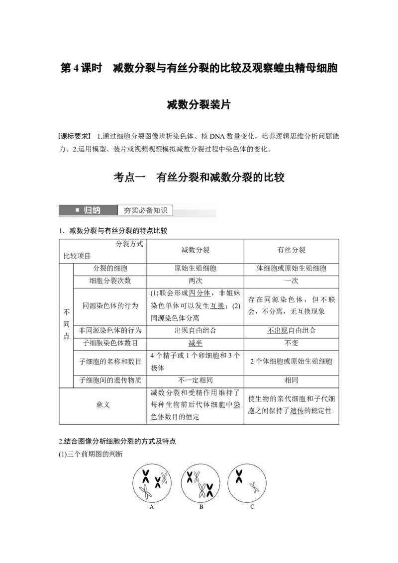 2024年高考生物一轮复习（新人教版）第4单元　第4课时　减数分裂与有丝分裂的比较及观察蝗虫精母细胞减数分裂装片_09高考生物_2024年新高考资料_1.2024一轮复习
