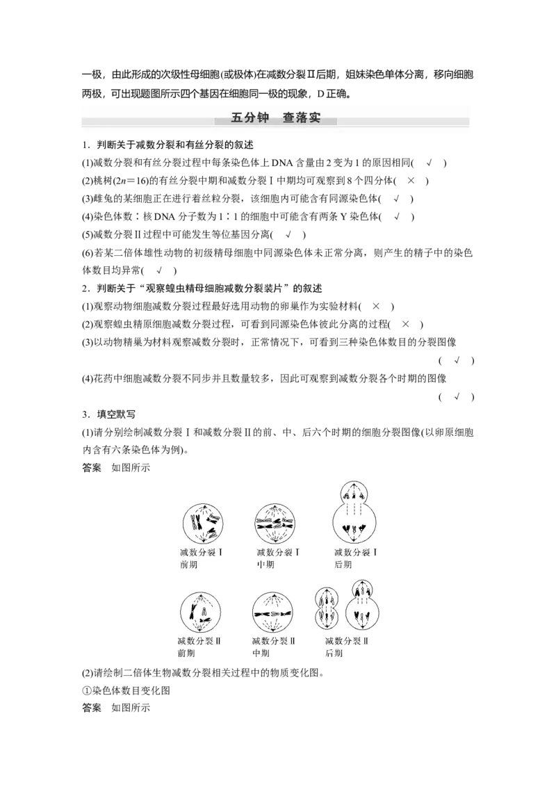 2024年高考生物一轮复习（新人教版）第4单元　第4课时　减数分裂与有丝分裂的比较及观察蝗虫精母细胞减数分裂装片_09高考生物_2024年新高考资料_1.2024一轮复习
