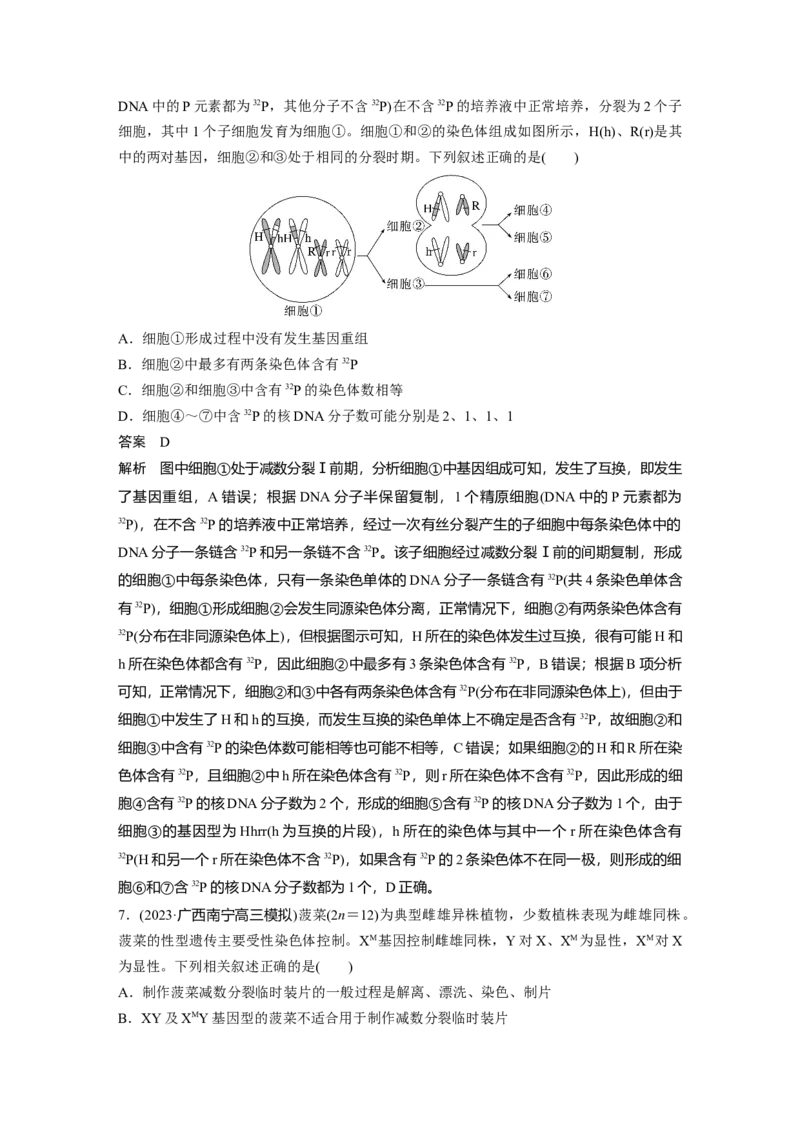 2024年高考生物一轮复习（新人教版）第4单元　第4课时　减数分裂与有丝分裂的比较及观察蝗虫精母细胞减数分裂装片_09高考生物_2024年新高考资料_1.2024一轮复习