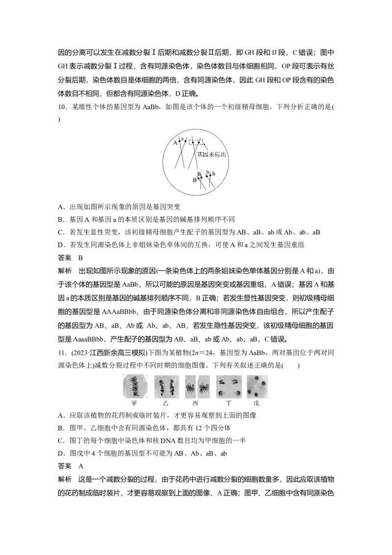 2024年高考生物一轮复习（新人教版）第4单元　第4课时　减数分裂与有丝分裂的比较及观察蝗虫精母细胞减数分裂装片_09高考生物_2024年新高考资料_1.2024一轮复习
