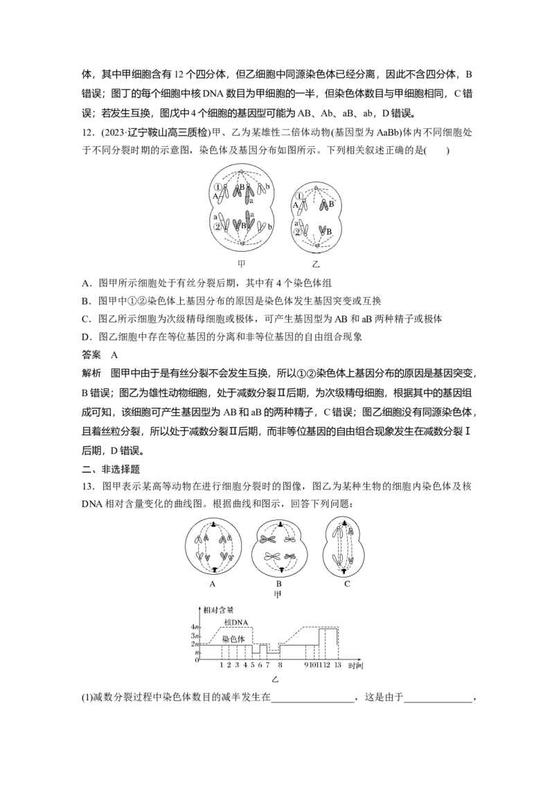 2024年高考生物一轮复习（新人教版）第4单元　第4课时　减数分裂与有丝分裂的比较及观察蝗虫精母细胞减数分裂装片_09高考生物_2024年新高考资料_1.2024一轮复习