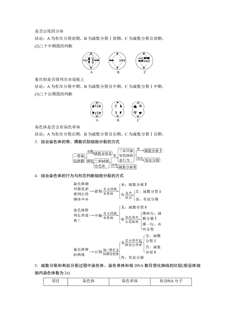 2024年高考生物一轮复习（新人教版）第4单元　第4课时　减数分裂与有丝分裂的比较及观察蝗虫精母细胞减数分裂装片_09高考生物_2024年新高考资料_1.2024一轮复习