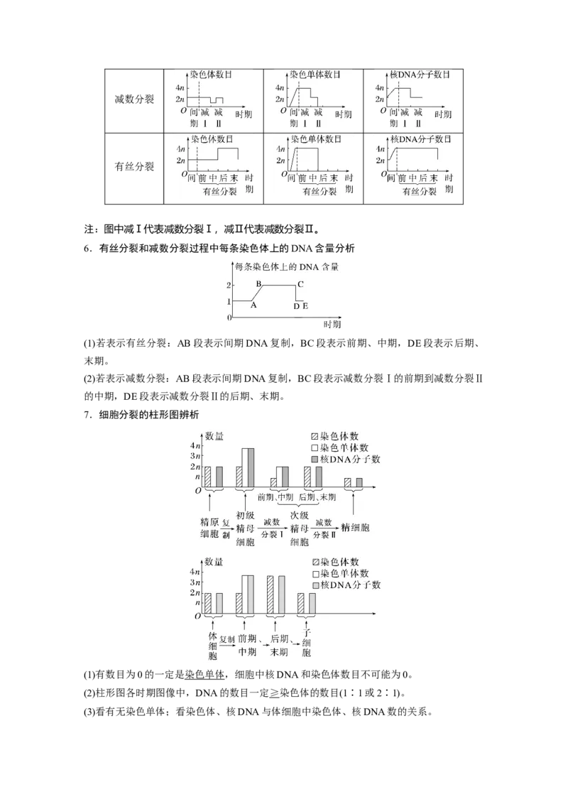 2024年高考生物一轮复习（新人教版）第4单元　第4课时　减数分裂与有丝分裂的比较及观察蝗虫精母细胞减数分裂装片_09高考生物_2024年新高考资料_1.2024一轮复习