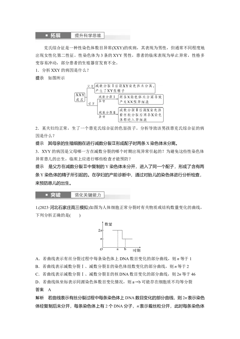 2024年高考生物一轮复习（新人教版）第4单元　第4课时　减数分裂与有丝分裂的比较及观察蝗虫精母细胞减数分裂装片_09高考生物_2024年新高考资料_1.2024一轮复习