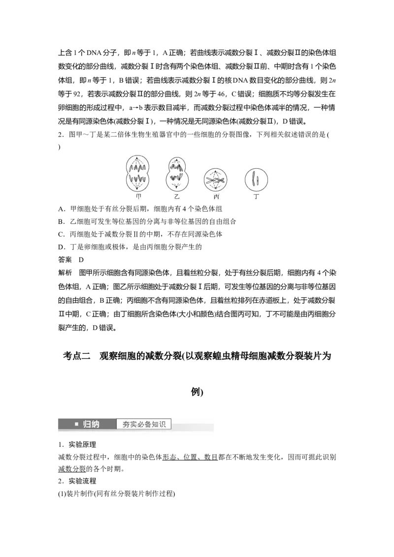 2024年高考生物一轮复习（新人教版）第4单元　第4课时　减数分裂与有丝分裂的比较及观察蝗虫精母细胞减数分裂装片_09高考生物_2024年新高考资料_1.2024一轮复习