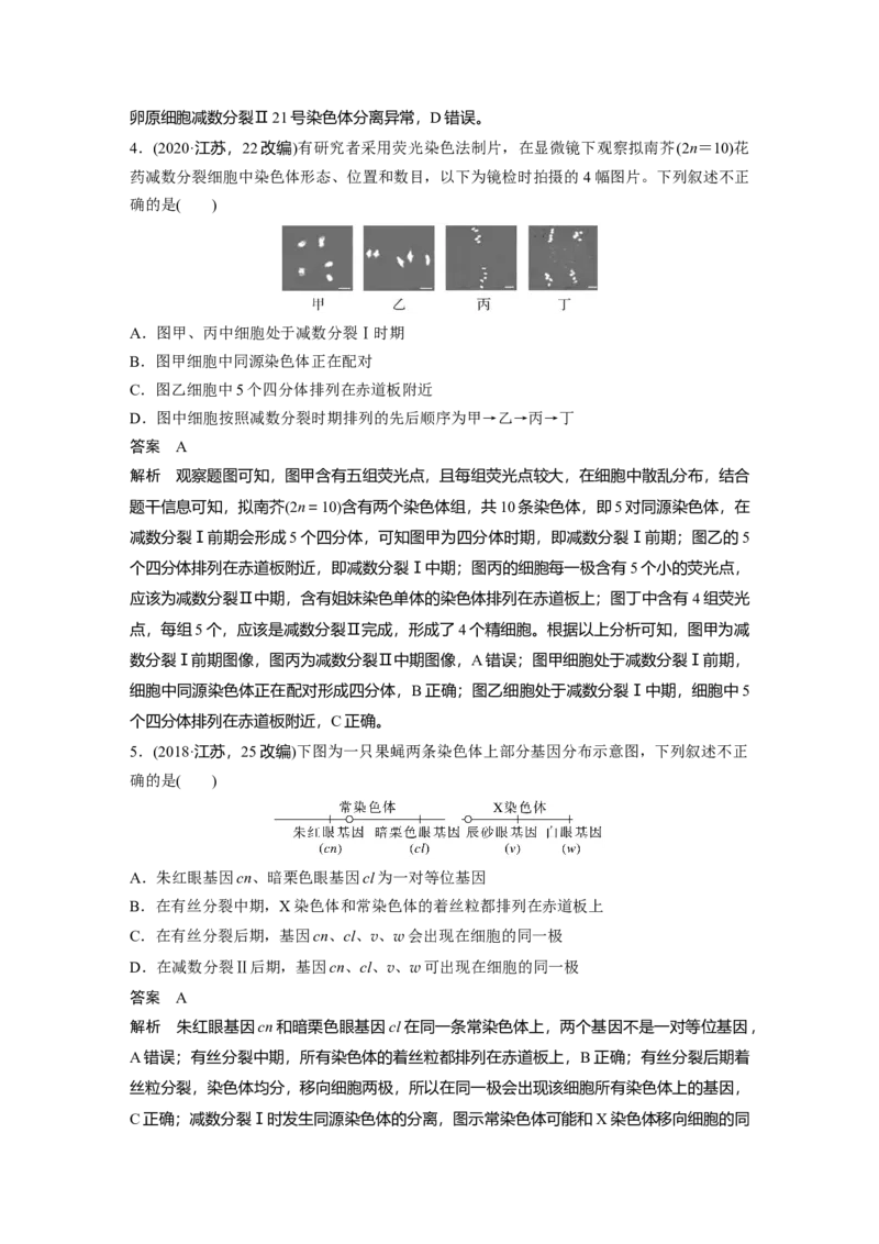 2024年高考生物一轮复习（新人教版）第4单元　第4课时　减数分裂与有丝分裂的比较及观察蝗虫精母细胞减数分裂装片_09高考生物_2024年新高考资料_1.2024一轮复习