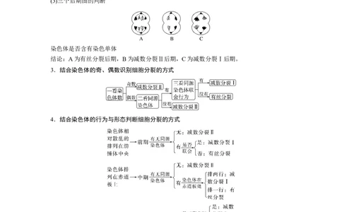 2024年高考生物一轮复习（新人教版）第4单元　第4课时　减数分裂与有丝分裂的比较及观察蝗虫精母细胞减数分裂装片_09高考生物_2024年新高考资料_1.2024一轮复习